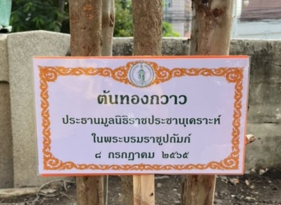 <strong>อ่านเพิ่มเติมเกี่ยวกับ</strong><br>กิจกรรมปลูกต้นไม้เพิ่มพื้นที่สีเขียวให้กรุงเทพมหานคร กิจกรรมปลูกต้นไม้เพิ่มพื้นที่สีเขียวให้กรุงเทพมหานคร