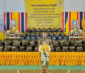 พระบาทสมเด็จพระเจ้าอยู่หัว ทรงพระกรุณาโปรดเกล้าโปรดกระหม่อม ... พารามิเตอร์รูปภาพ 12