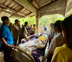 พระบาทสมเด็จพระเจ้าอยู่หัว ... พารามิเตอร์รูปภาพ 21