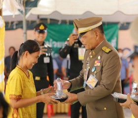 พระบาทสมเด็จพระเจ้าอยู่หัว ... พารามิเตอร์รูปภาพ 11