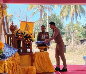 พระบาทสมเด็จพระเจ้าอยู่หัว ... พารามิเตอร์รูปภาพ 4
