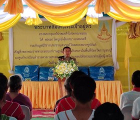 พระบาทสมเด็จพระเจ้าอยู่หัว ... พารามิเตอร์รูปภาพ 12