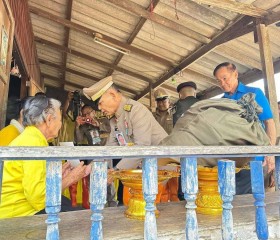 พระบาทสมเด็จพระเจ้าอยู่หัว ... พารามิเตอร์รูปภาพ 1