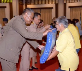 พระบาทสมเด็จพระเจ้าอยู่หัว ... พารามิเตอร์รูปภาพ 10