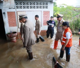 พระบาทสมเด็จพระเจ้าอยู่หัว ... พารามิเตอร์รูปภาพ 28