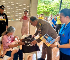 พระบาทสมเด็จพระเจ้าอยู่หัว ทรงพระกรุณาโปรดเกล้าฯ ให้ พลเอก ... พารามิเตอร์รูปภาพ 12