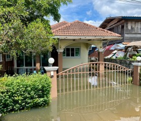พระบาทสมเด็จพระเจ้าอยู่หัว ทรงพระกรุณาโปรดเกล้าฯ ให้ พลเอก ... พารามิเตอร์รูปภาพ 24