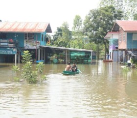 มูลนิธิราชประชานุเคราะห์ฯ ... พารามิเตอร์รูปภาพ 1