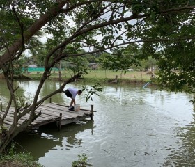 พลเรือเอก พงษ์เทพ หนูเทพ องคมนตรี ... พารามิเตอร์รูปภาพ 8