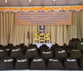 พระบาทสมเด็จพระเจ้าอยู่หัว ทรงพระกรุณาโปรดเกล้าฯ ให้ พลเอก ... พารามิเตอร์รูปภาพ 17