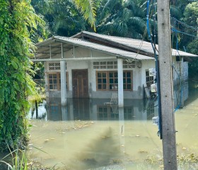 พระบาทสมเด็จพระเจ้าอยู่หัว ... พารามิเตอร์รูปภาพ 3