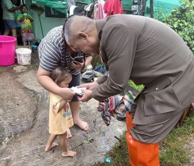 พระบาทสมเด็จพระเจ้าอยู่หัว ... พารามิเตอร์รูปภาพ 4