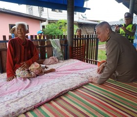 พระบาทสมเด็จพระเจ้าอยู่หัว ... พารามิเตอร์รูปภาพ 7