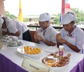 ประธานกรรมการบริหารมูลนิธิราชประชานุเคราะห์ฯ ... พารามิเตอร์รูปภาพ 13