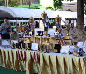 พลเรือเอก พงษ์เทพ หนูเทพ องคมนตรี ... พารามิเตอร์รูปภาพ 10