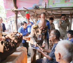 พระบาทสมเด็จพระเจ้าอยู่หัว ... พารามิเตอร์รูปภาพ 1