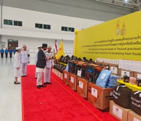 พระบาทสมเด็จพระเจ้าอยู่หัว และสมเด็จพระนางเจ้า ฯ ... พารามิเตอร์รูปภาพ 42