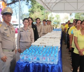 พระบาทสมเด็จพระเจ้าอยู่หัว ทรงพระกรุณาโปรดเกล้าโปรดกระหม่อม ... พารามิเตอร์รูปภาพ 11