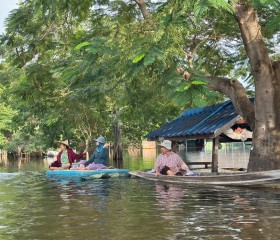 พระบาทสมเด็จพระเจ้าอยู่หัว ... พารามิเตอร์รูปภาพ 6