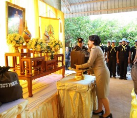 พระบาทสมเด็จพระเจ้าอยู่หัว ... พารามิเตอร์รูปภาพ 12