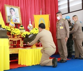 พระบาทสมเด็จพระเจ้าอยู่หัว ... พารามิเตอร์รูปภาพ 16