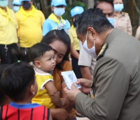 พระบาทสมเด็จพระเจ้าอยู่หัว ... พารามิเตอร์รูปภาพ 11