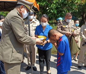 พระบาทสมเด็จพระเจ้าอยู่หัว ... พารามิเตอร์รูปภาพ 15